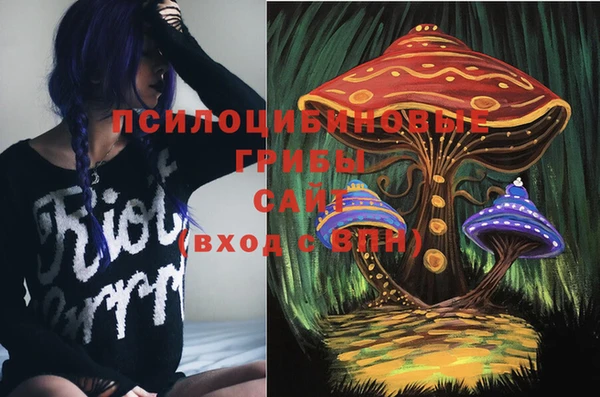 шишки Дмитров