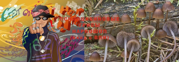 шишки Дмитров