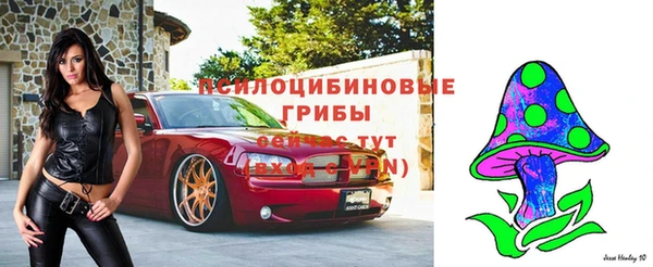 шишки Дмитров