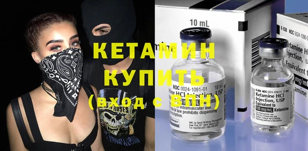 шишки Дмитров