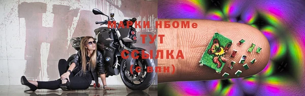 шишки Дмитров