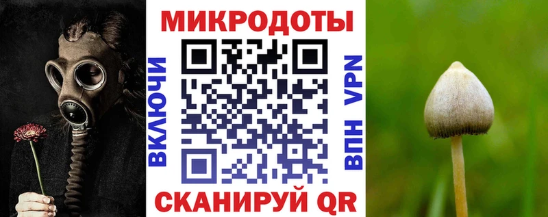 Купить  Крымск  Галлюциногенные грибы Psilocybe 